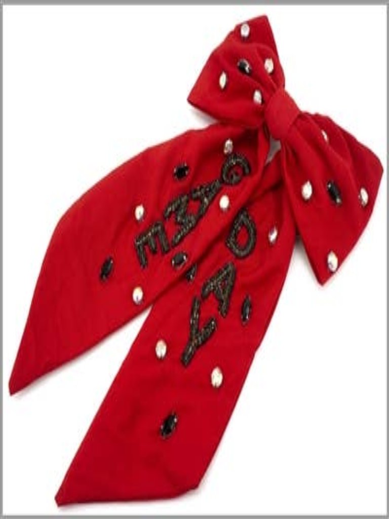 Southern Sassy Gal's Boutique LLC 