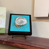 Oyster Shell Glass Art